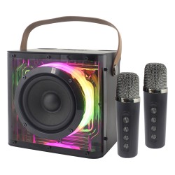 Portable Karaoke System