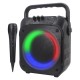 Portable Karaoke System