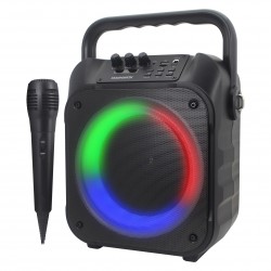 Portable Karaoke System