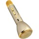 Portable Karaoke Microphone and Speaker